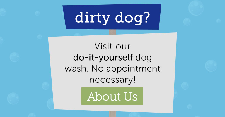 Pet Groomers